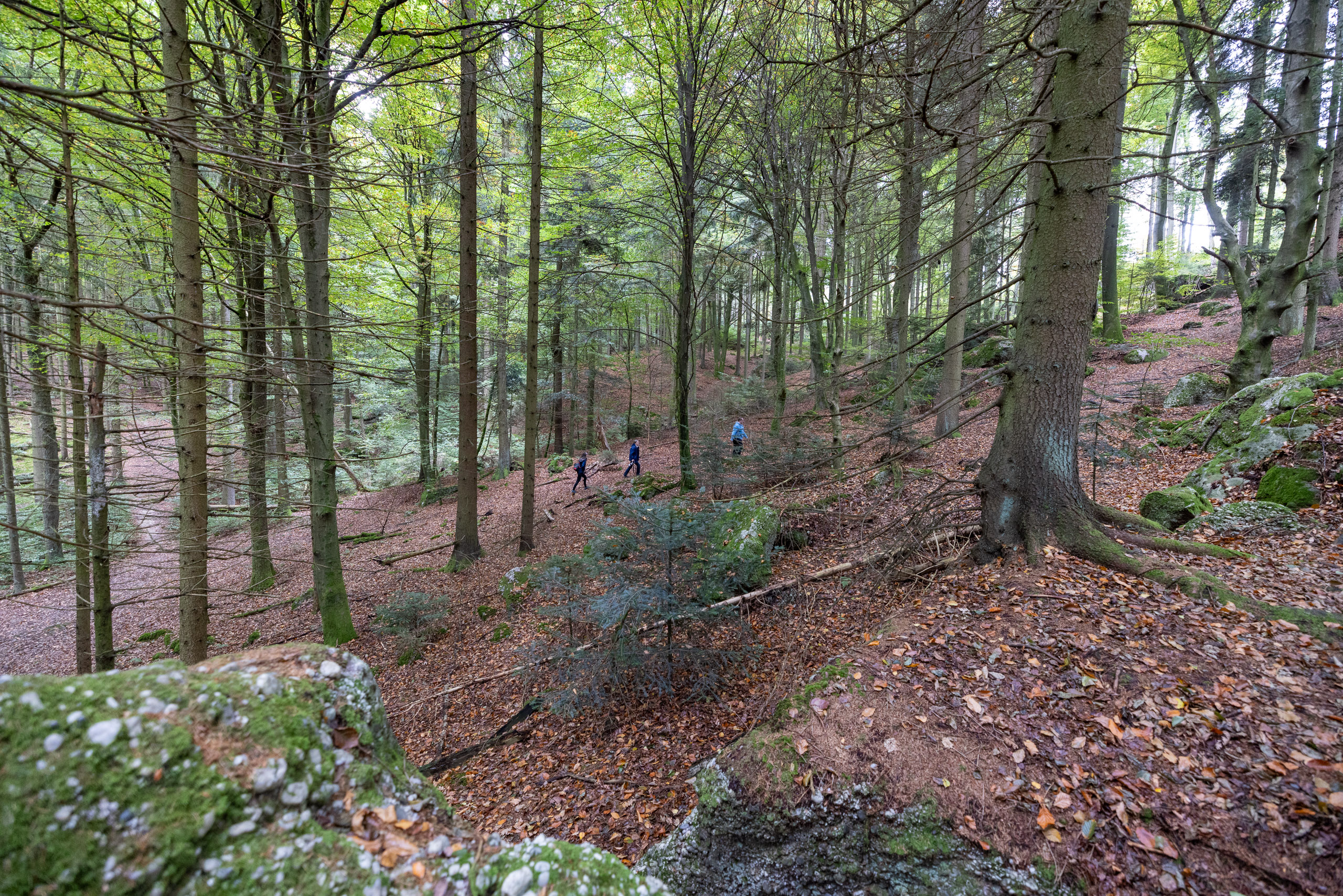 20231015113424 R5D 4407